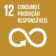 12 Consumo e Produção Responsáveis