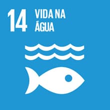 14-Vida na Água